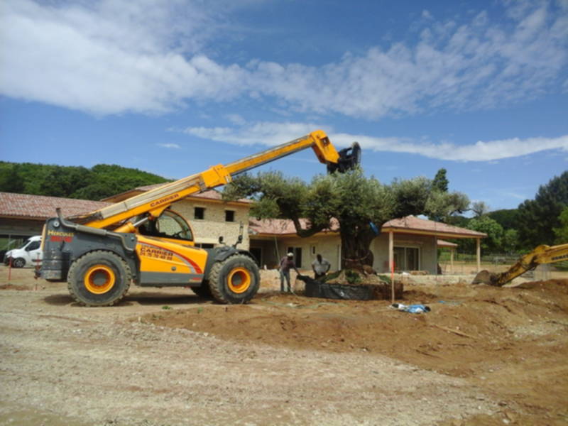 TELESCOPIQUE 21TONNES DIECI